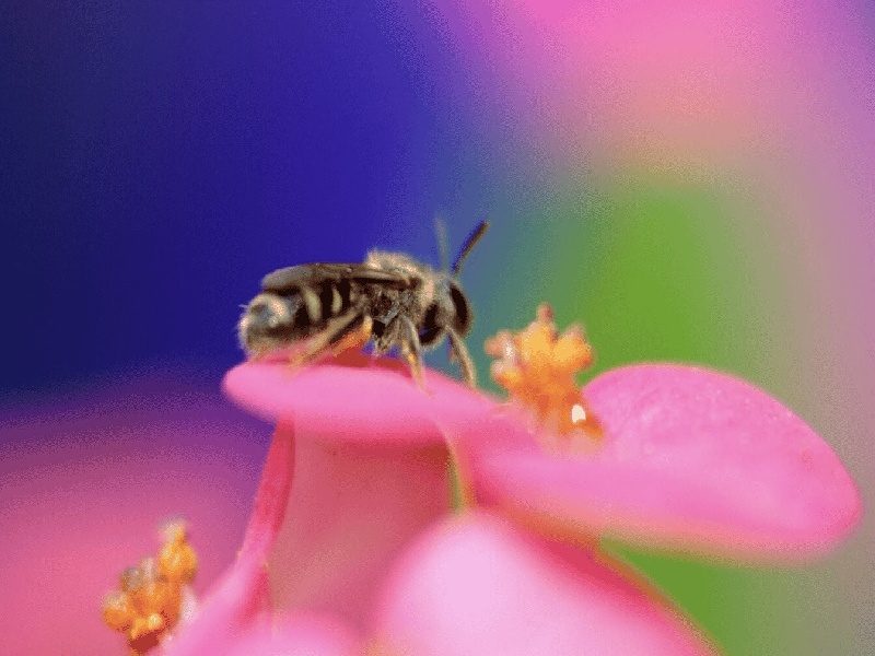 试管宝宝前期偏小(试管机而移植)